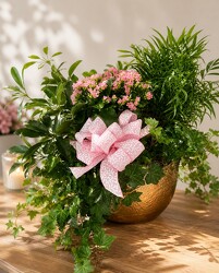 Fancy Dish Garden Fancy Dish Garden