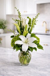 Pure Serenity Pure Serenity