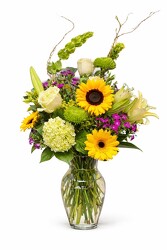 BURST OF YELLOW BURST OF YELLOW