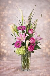 Pink Passion Pink Passion