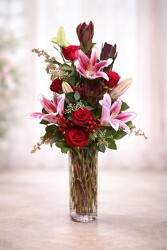 Raspberry Delight Raspberry Delight